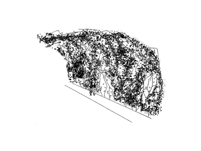 Živuća arhitektura